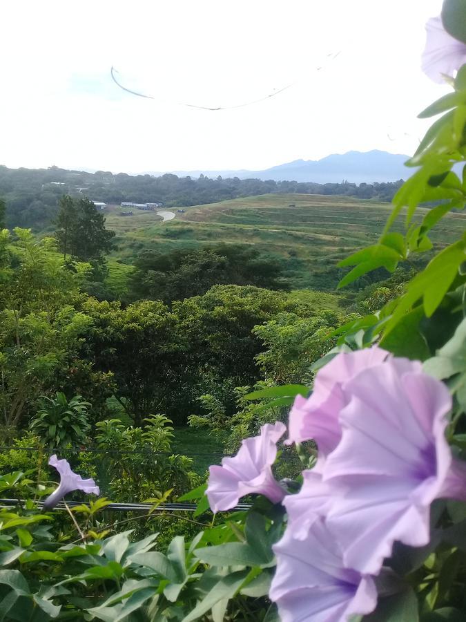 Rancha Azul Inn Alajuela ภายนอก รูปภาพ
